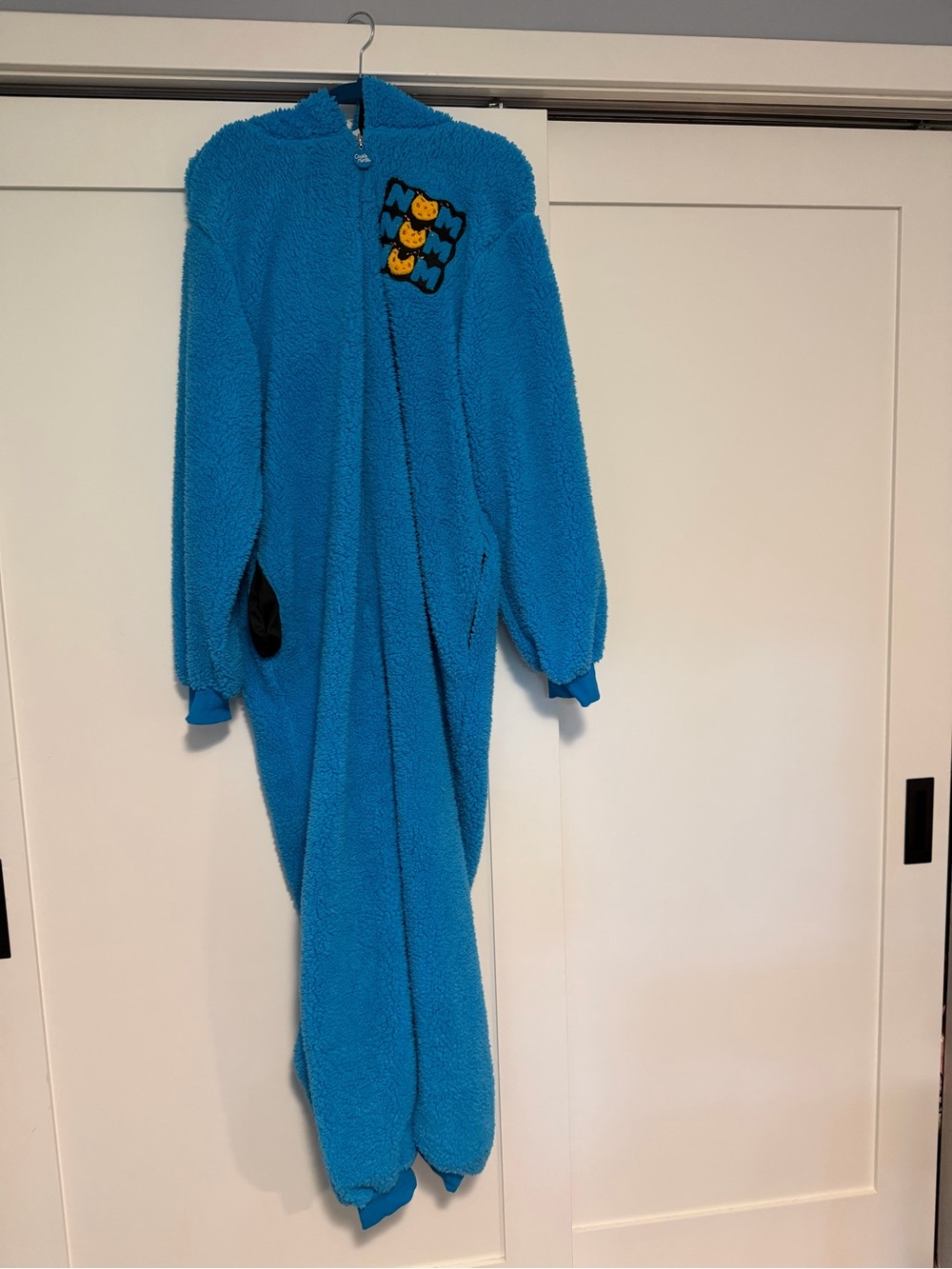 Cookie Monster costume